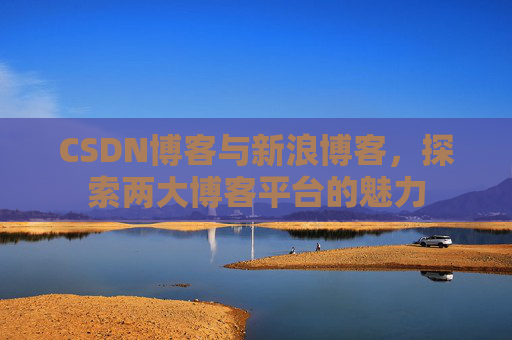 CSDN博客与新浪博客,探索两大博客平台的魅力